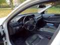 Mercedes-Benz 250 E 250 CDI Blue Efficiency Automatik Білий - thumbnail 9