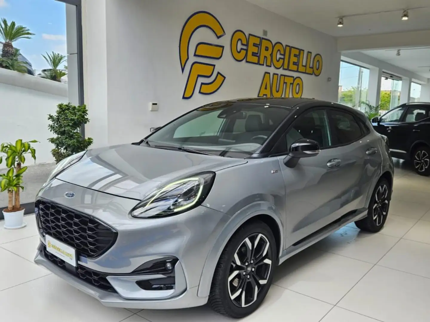 Ford Puma 1.0 EcoBoost 125 CV S&S ST-Line X Grigio - 2