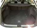 Volkswagen Passat Variant 1.5 eTSI 110 kW Business 1.5 eTSI Weiß - thumbnail 8
