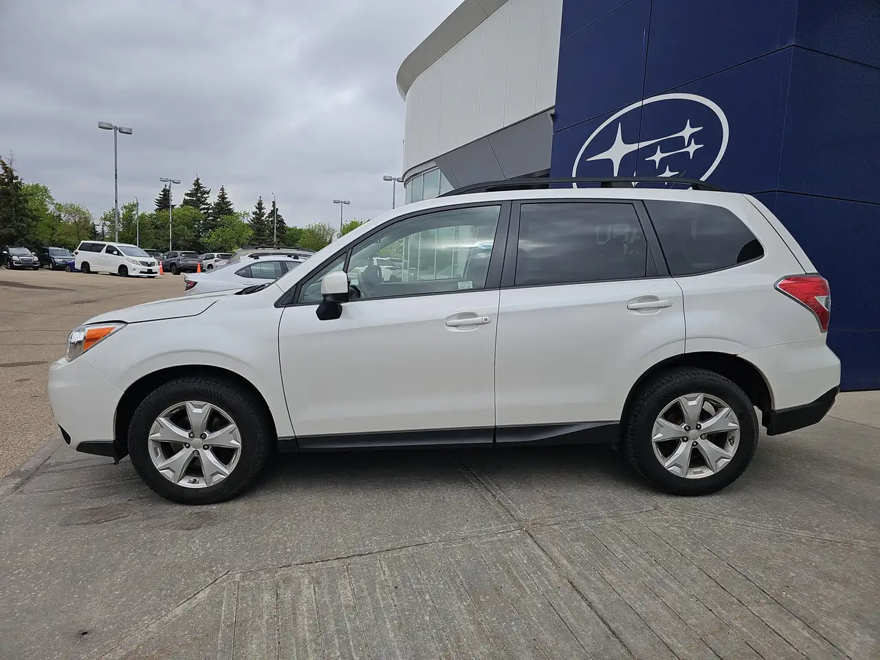 Subaru Forester fotografie Subaru Forester