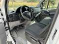 Mercedes-Benz Sprinter Sprinter F37/33 314 CDI TN Furgone Executive Bianco - thumbnail 9