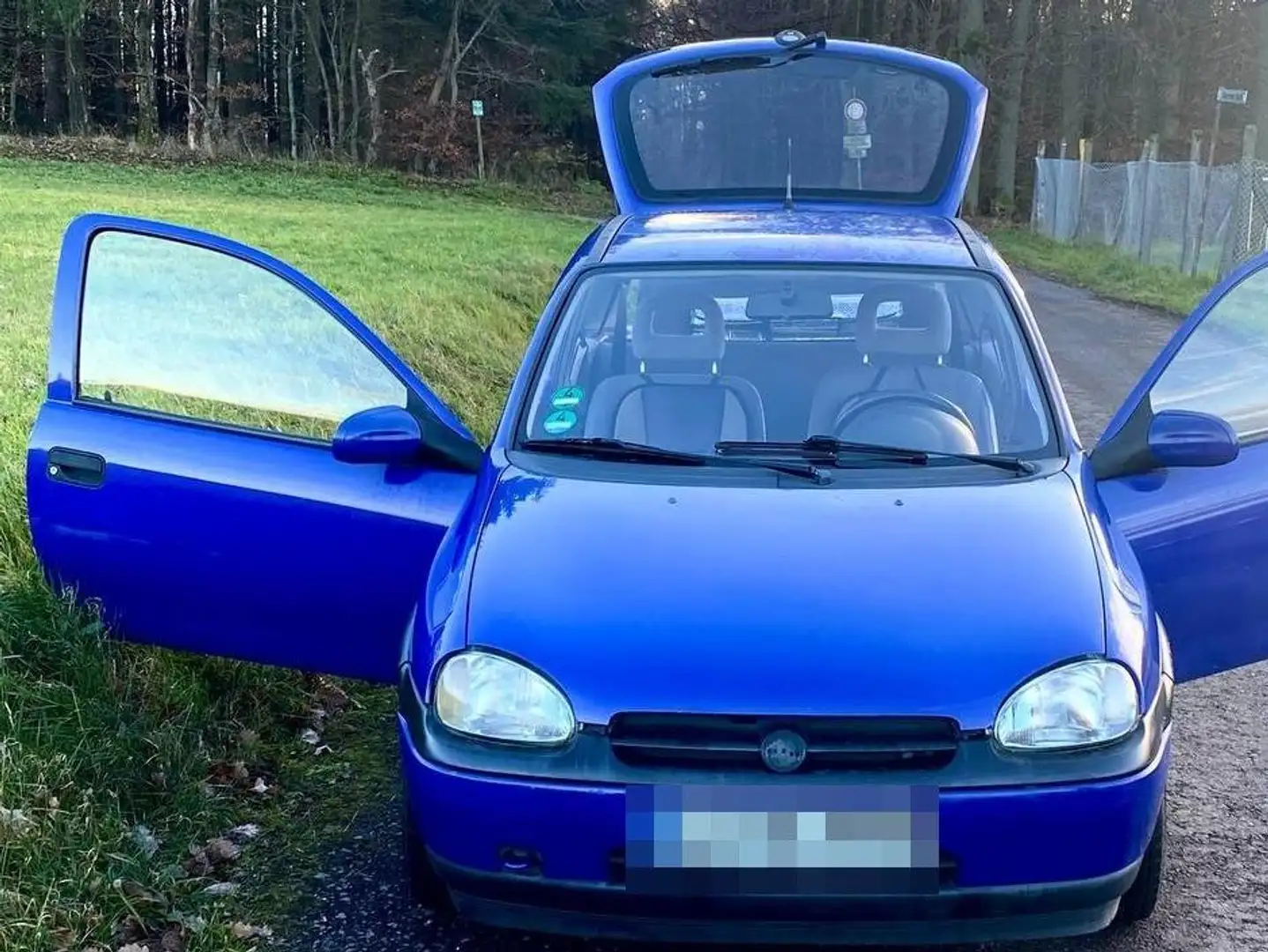 Opel Corsa Corsa B Azul - 1