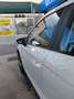 SEAT Arona Arona 2022 1.0 tgi Style 90cv Bianco - thumbnail 7