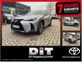 Lexus UX 300e UX 300h F Sport Design ACC FLA SpurH LED Argent - thumbnail 1