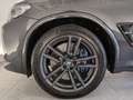 BMW X4 M Competition Navi/LED/Pano/HuD/AHK/DrAs/PaAs Pano/H Grau - thumbnail 10