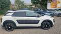 Citroen C4 Cactus Shine Weiß - thumbnail 7