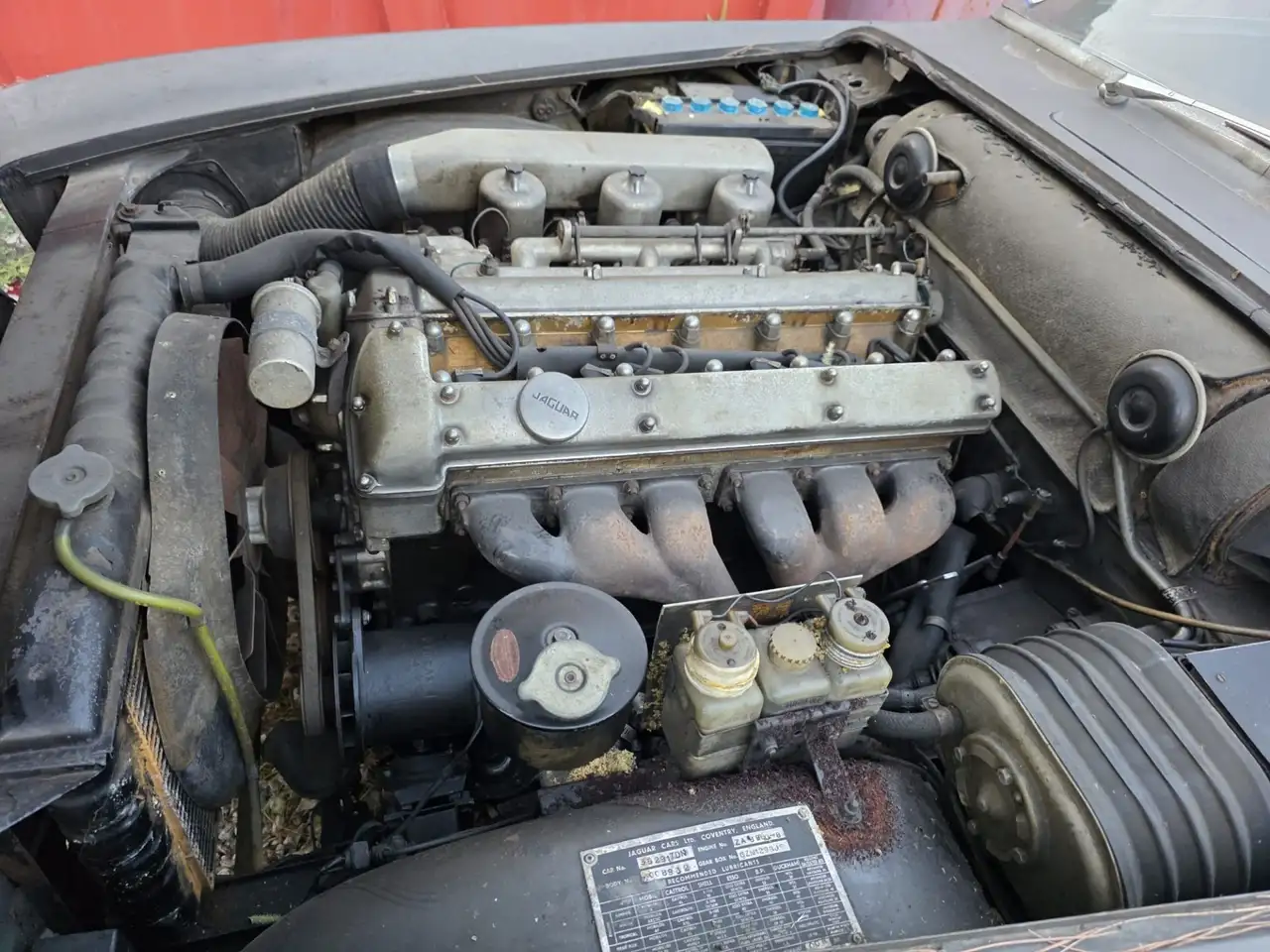 jaguar mk10 1964, foto 5