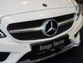 Mercedes-Benz C 180 C 180 Cabrio AMG Line AIRCAP AIRSCARF LED Esche Blanco - thumbnail 11