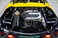 Renault Spider TROPHY 2.0 180HP / 1 of 90 Amarillo - thumbnail 23