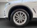 BMW X3 X3 xDrive20d Weiß - thumbnail 17