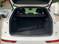 Audi Q5 SLINE 40TDI quattro S-tronic-PANODACH-VIRTUAL Blanc - thumbnail 43