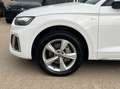 Audi Q5 SLINE 40TDI quattro S-tronic-PANODACH-VIRTUAL Blanc - thumbnail 14