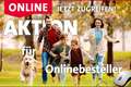Dacia Bigster mit Kamera, Klima & Navi Klima Navi Grün - thumbnail 14