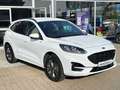 Ford Kuga Plug-in Hybrid 2.5 ST-LINE X B&O*AHK*RFK Wit - thumbnail 15