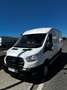 Ford Transit FT 310 L2 Van Trend 130 Trend Blanco - thumbnail 1
