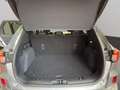 Ford Kuga Plug-In Hybrid Vignale Grau - thumbnail 14