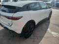 Renault Megane E-Tech Evolution Autonomía Urbana 96kW Blanc - thumbnail 8