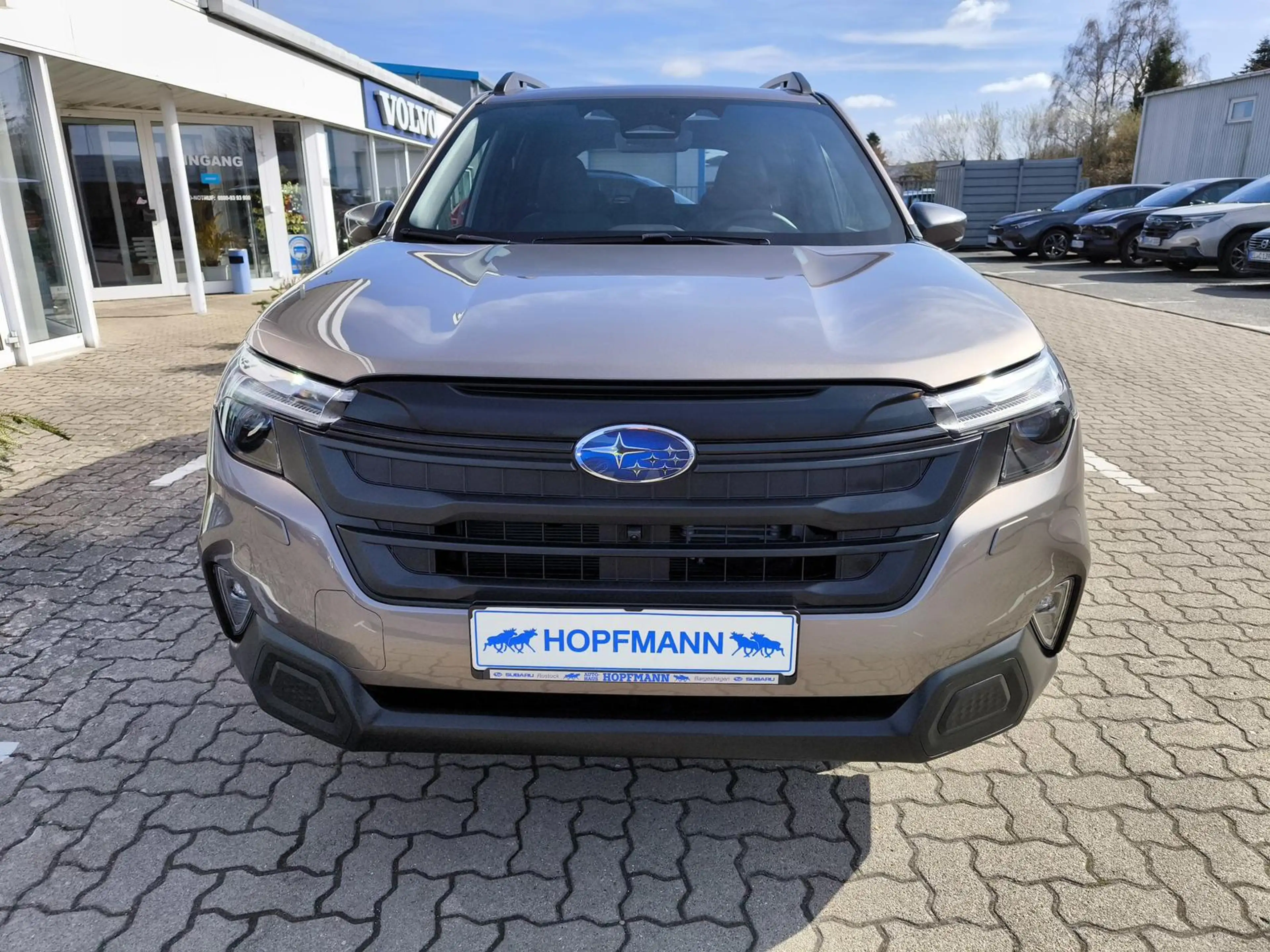 Subaru Forester 2.0ie e-Boxer Exclusive — photo 7