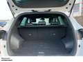 Hyundai TUCSON N-Line 4WD DSG LED NAVI SHZ Blanco - thumbnail 8