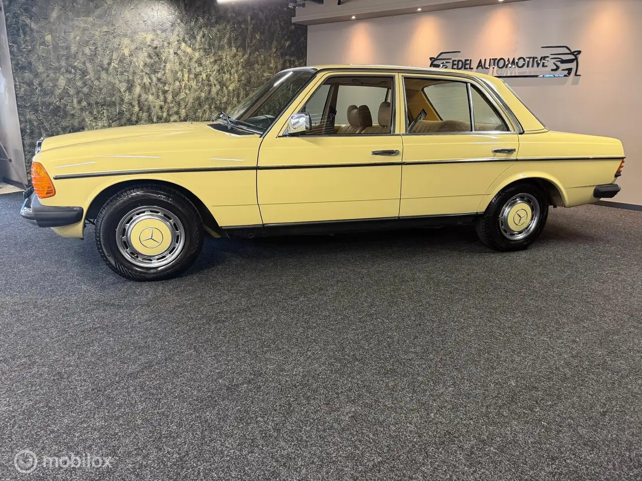 Mercedes-Benz 250 Mercedes Oldtimer W123 E/S 250, foto 2