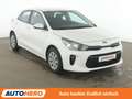 Kia Rio 1.2 Edition 7 *KLIMA* Weiß - thumbnail 8