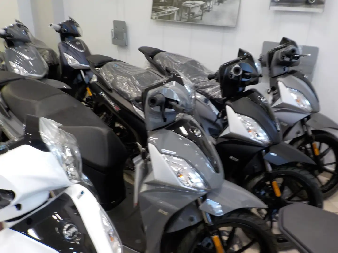 SYM Symphony 50 ST - Promo RCA+Tasso Zero - 2