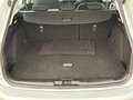 Ford Focus 1.5 EcoBlue 120 CV automatico SW Business Zilver - thumbnail 12