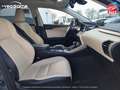 Lexus NX 300h 300h 4WD Executive Toit Ouvrant Sièges cuir/chauf  - thumbnail 9