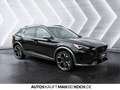 CUPRA Formentor 2.0 TSI DSG VZ PARKL LED 4SEASON BEATS Noir - thumbnail 5