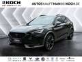 CUPRA Formentor 2.0 TSI DSG VZ PARKL LED 4SEASON BEATS Noir - thumbnail 1