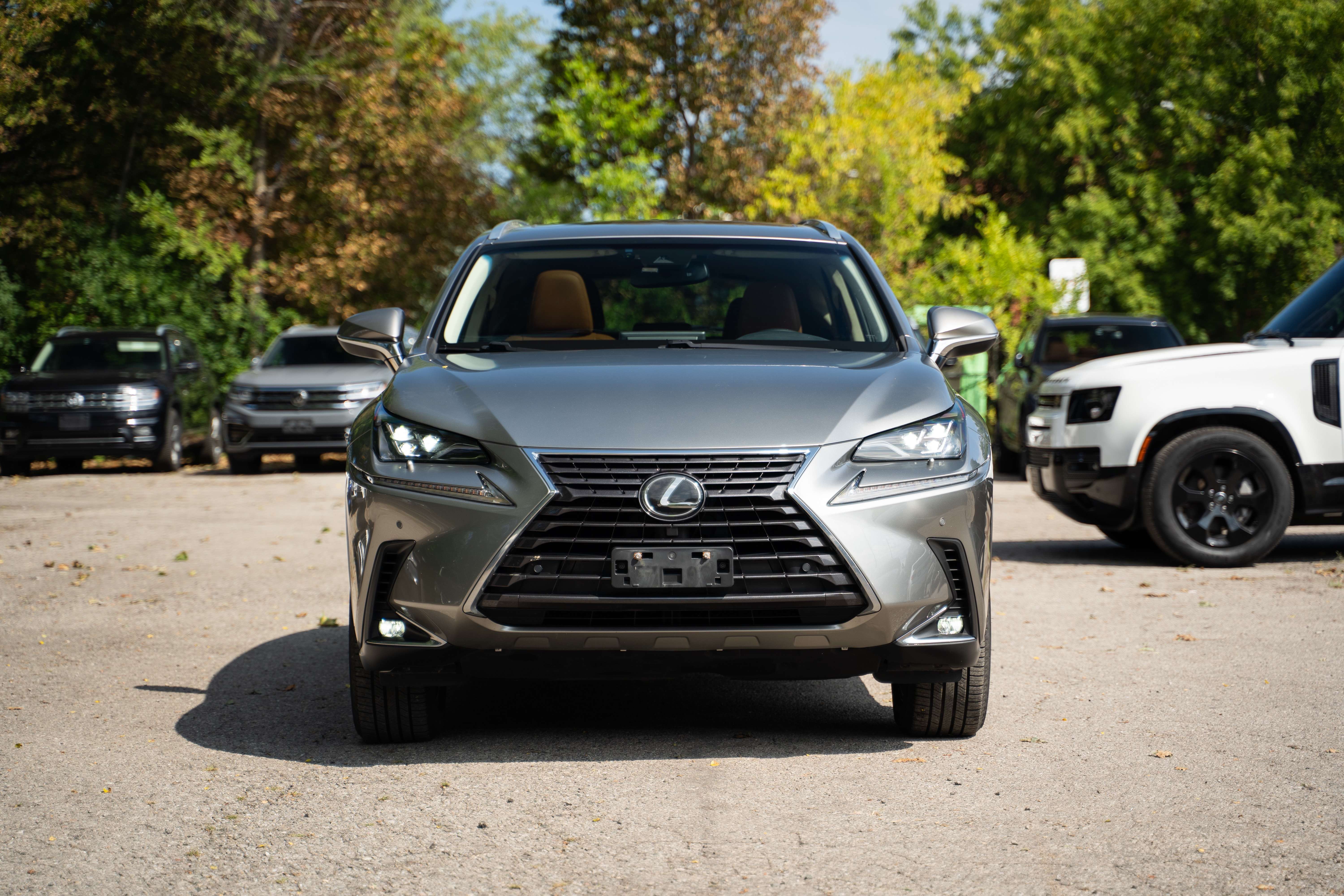 2019 Lexus NX
