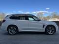 BMW X5 M M50d Sport-Aut. Bianco - thumbnail 6