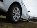 Kia Ceed / cee'd Ceed 1.5T DCT Vision Navi Komfort-plus-Paket ACC Blanc - thumbnail 5
