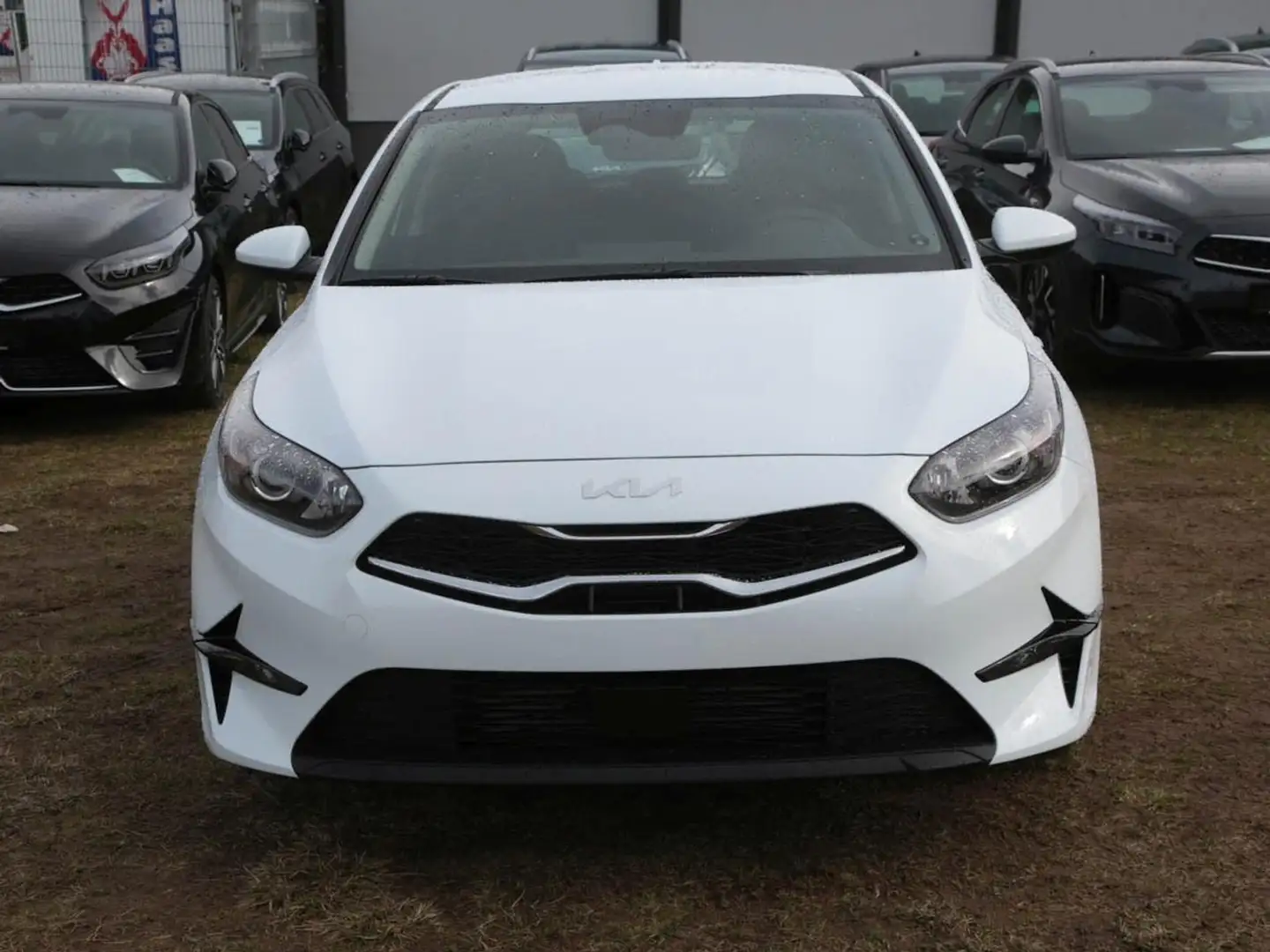 Kia Ceed / cee'd Ceed 1.5T DCT Vision Navi Komfort-plus-Paket ACC Blanc - 2