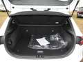 Kia Ceed / cee'd Ceed 1.5T DCT Vision Navi Komfort-plus-Paket ACC Blanc - thumbnail 6