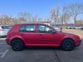 Volkswagen Golf Golf IV 1.4 Trendline Klima Rot - thumbnail 6