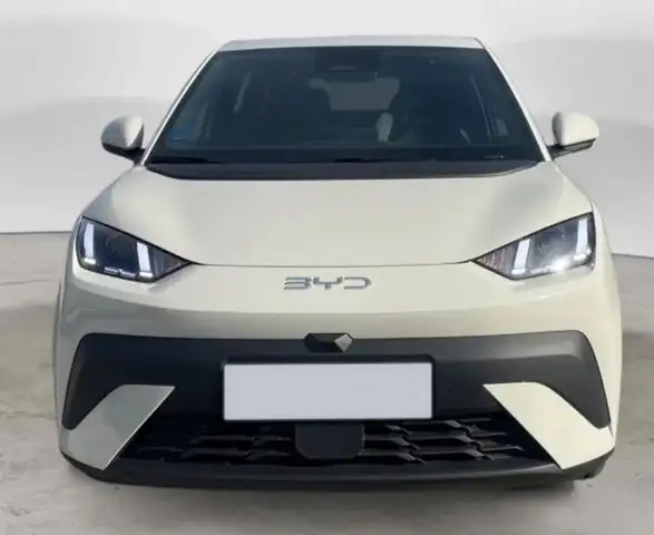 BYD Dolphin SURF ACTIVE 88Ccv Batteria 30kwh