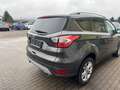 Ford Kuga Kuga Titanium 1.5 Diesel Grau - thumbnail 6
