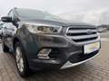 Ford Kuga Kuga Titanium 1.5 Diesel Grau - thumbnail 4