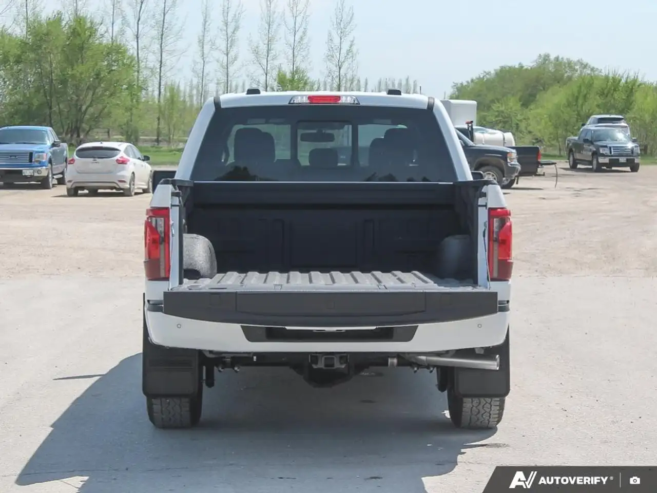 Ford F 150 снимка Ford F 150