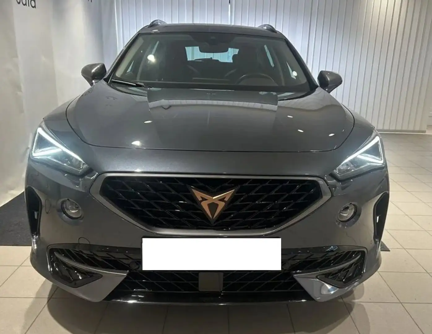 CUPRA Formentor Basis 1.5 TSI DSG *AHK/KAMERA* Grau - 2