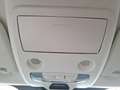 Ford EcoSport Active Klimaautomatik PDC DAB - Dach in Kontrastfa Rojo - thumbnail 18