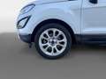 Ford EcoSport TODOTERRENO 1.0T ECOBOOST 92KW ST LINE AUTO 125 5P Blanco - thumbnail 8