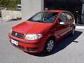 Fiat Punto 1.2 5p Dynamic Rosso - thumbnail 3