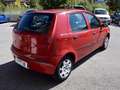 Fiat Punto 1.2 5p Dynamic Rosso - thumbnail 6