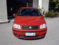 Fiat Punto 1.2 5p Dynamic Rosso - thumbnail 2