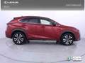 Lexus NX 300 300h F Sport 4WD Panorámico Rood - thumbnail 25