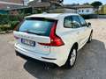 Volvo XC60 2.0 b4 Business Plus awd geartronic my20 GB711DP Bianco - thumbnail 5