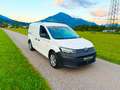 Volkswagen Caddy Maxi 2.0 TDI DSG 1. Hand Carplay PDC Lane Assist Weiß - thumbnail 10