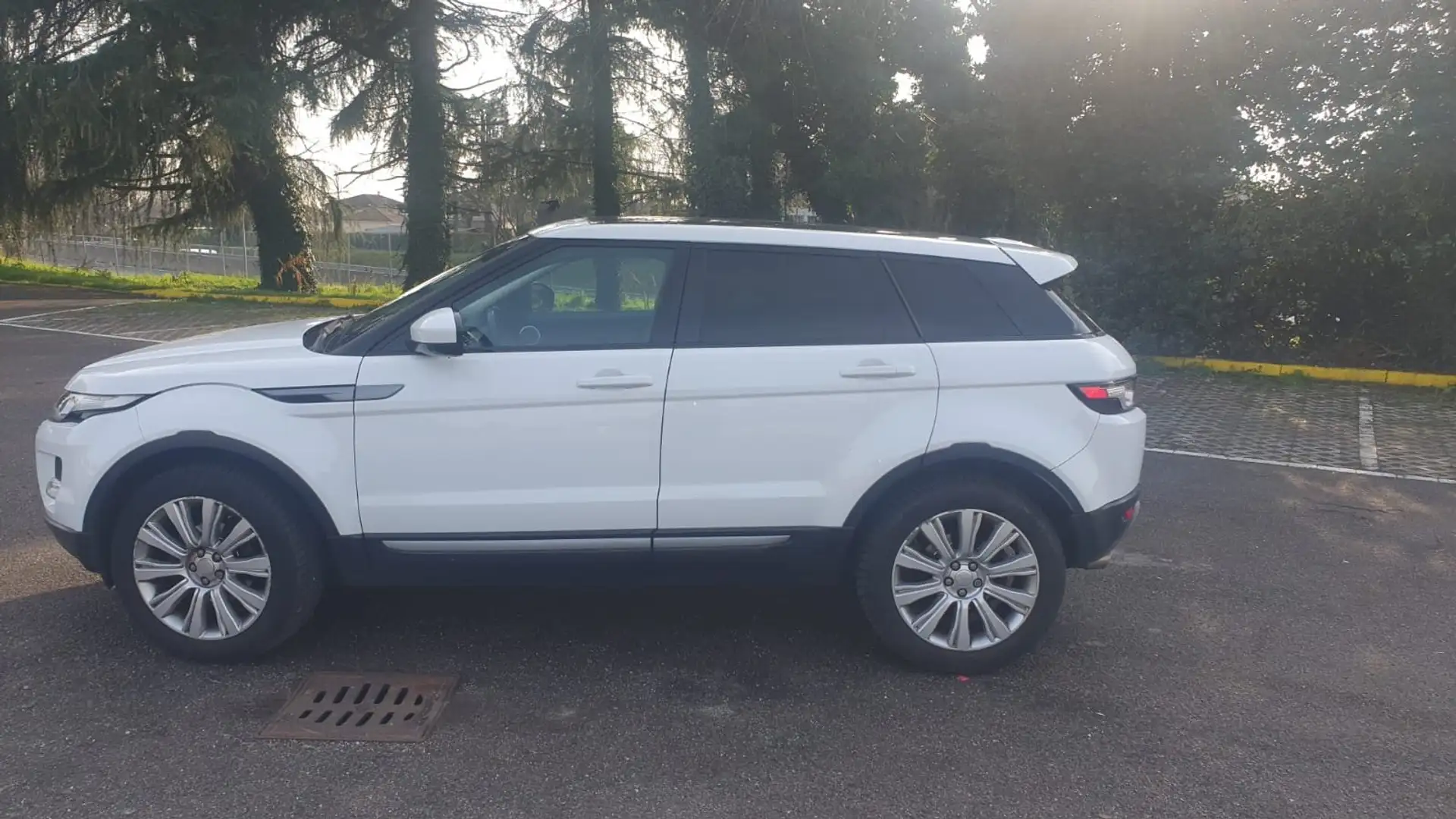 Land Rover Range Rover Evoque 5p 2.2 td4 Dynamic 150cv tetto panoramico Bianco - 2